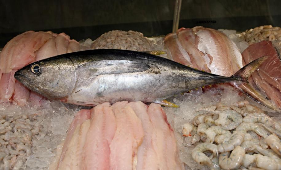 Vigilância Sanitária alerta sobre cuidados na compra de pescados para a Semana Santa.