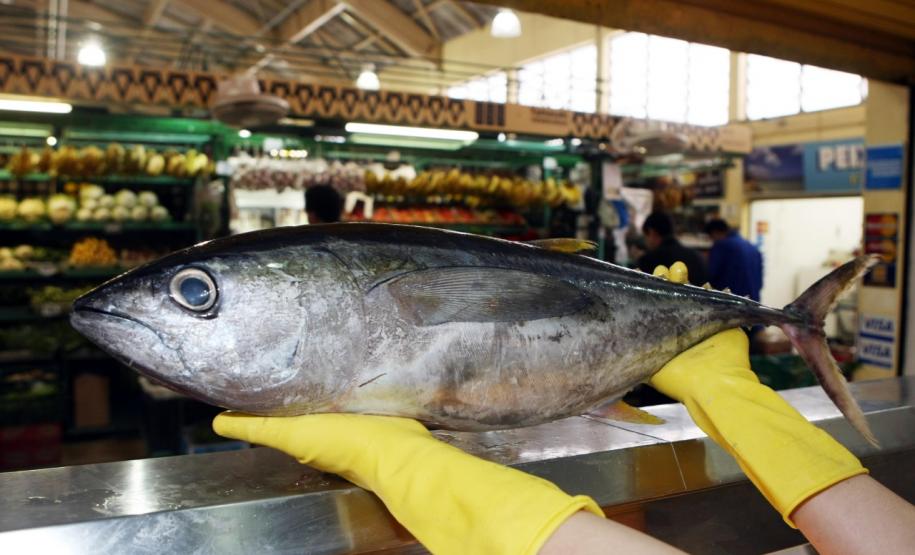 Vigilância Sanitária alerta sobre cuidados na compra de pescados para a Semana Santa.