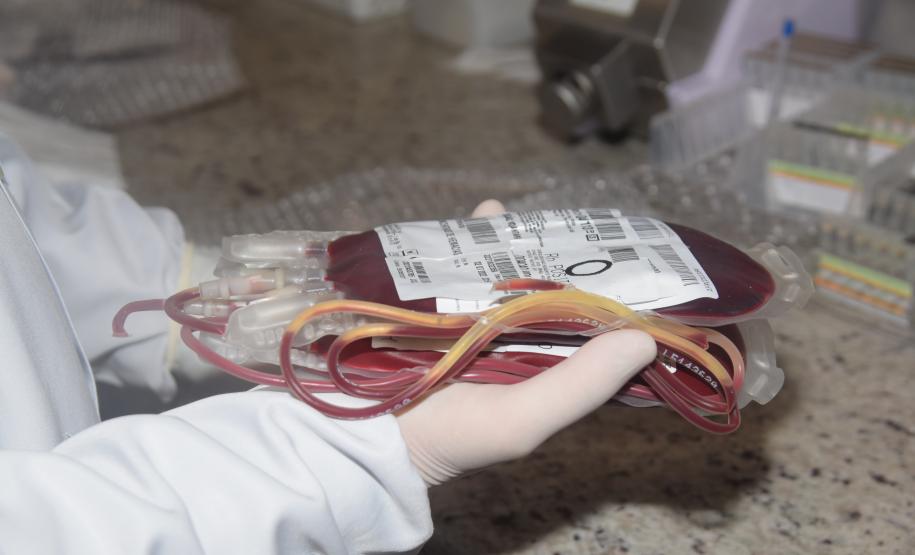 Em ação solidária, Paraná destina 124 bolsas de sangue a Pernambuco