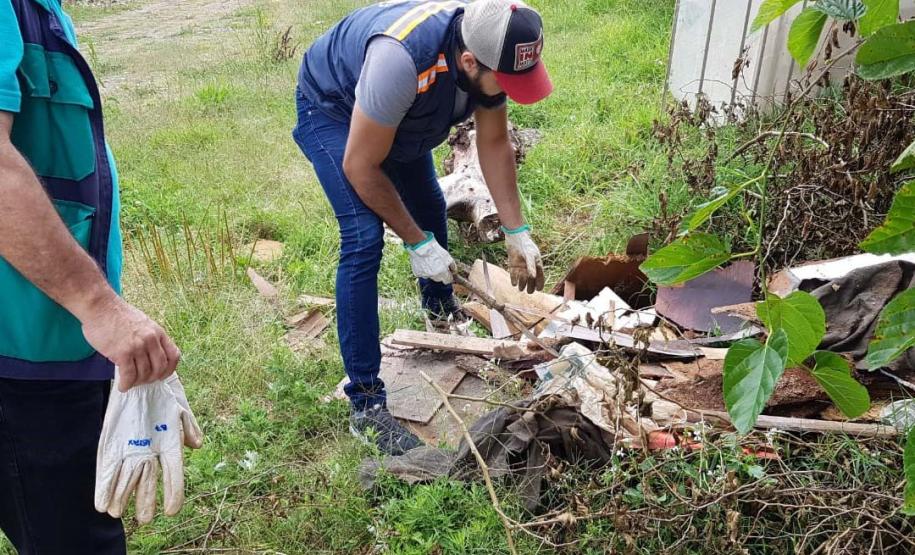 Saúde reforça cuidados para evitar acidentes com escorpião