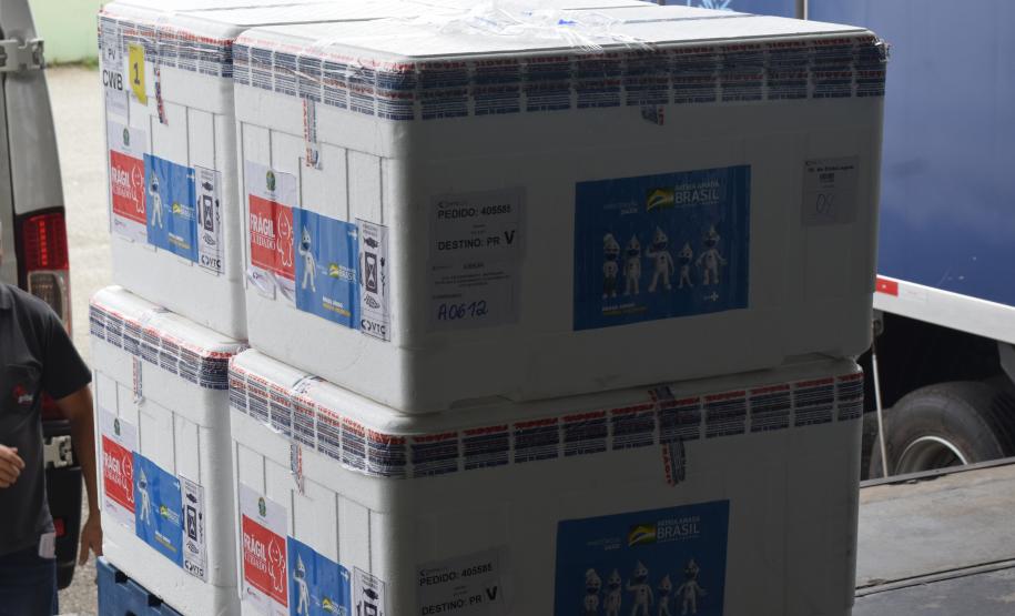 Estado recebe mais de 47 mil doses pediátricas contra a Covid-19 e inicia distribuição de vacinas nesta terça-feira