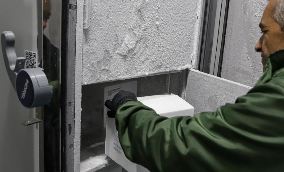 Ministério da Saúde antecipa envio e Paraná recebe 53,6 mil doses pediátricas contra Covid-19