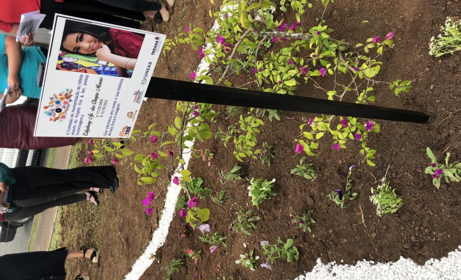 Governo investiu mais de R$ 222 milhões no Hospital Infantil Waldemar Monastier