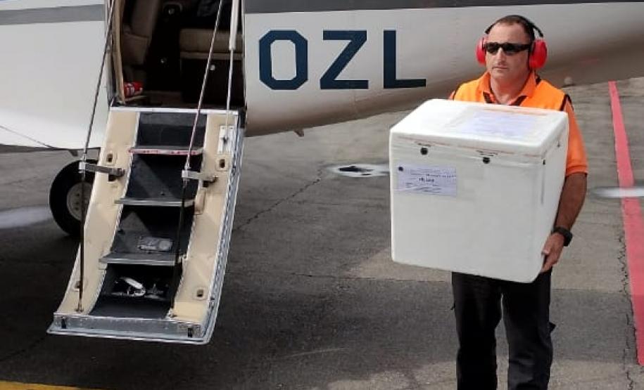 Estado transporta fígado de Santa Catarina para a RMC em apenas 30 minutos