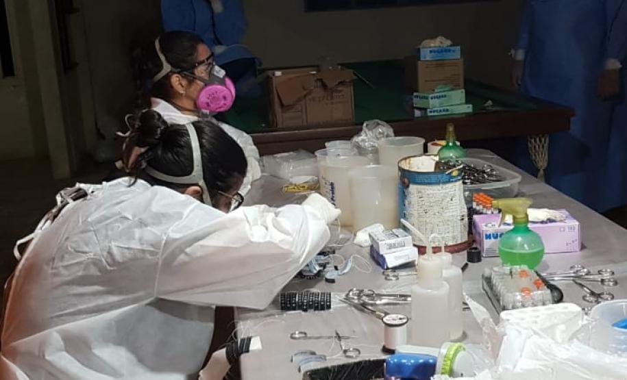 Sesa realiza ação de prevenção e controle da hantavirose em Guarapuava