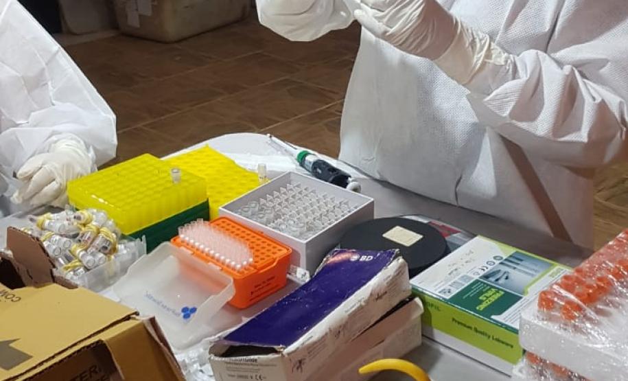 Sesa realiza ação de prevenção e controle da hantavirose em Guarapuava