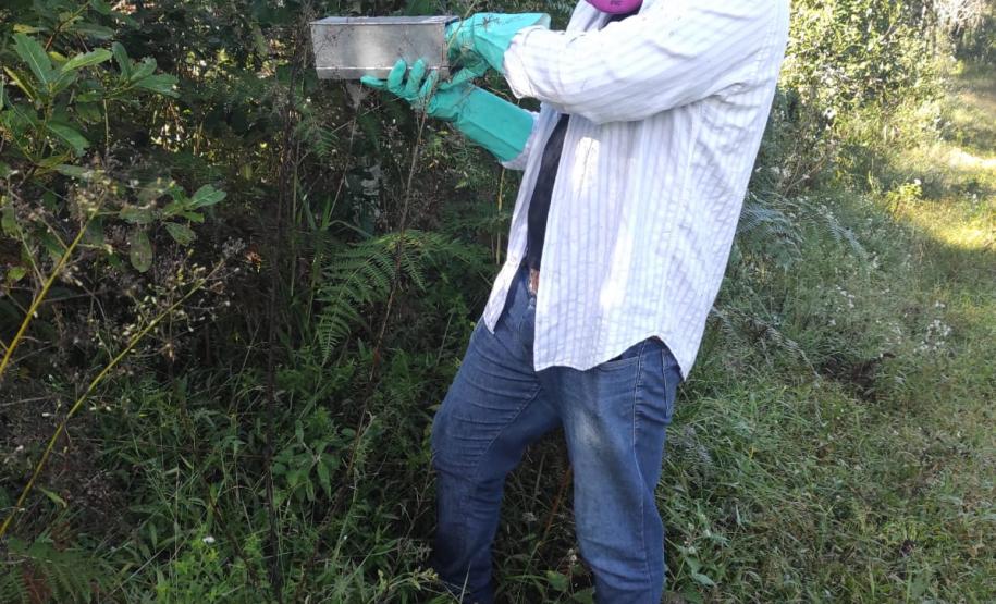 Sesa realiza ação de prevenção e controle da hantavirose em Guarapuava