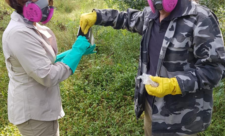 Sesa realiza ação de prevenção e controle da hantavirose em Guarapuava