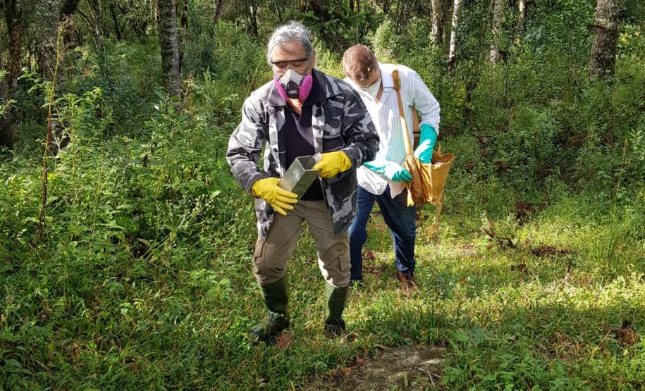Sesa realiza ação de prevenção e controle da hantavirose em Guarapuava