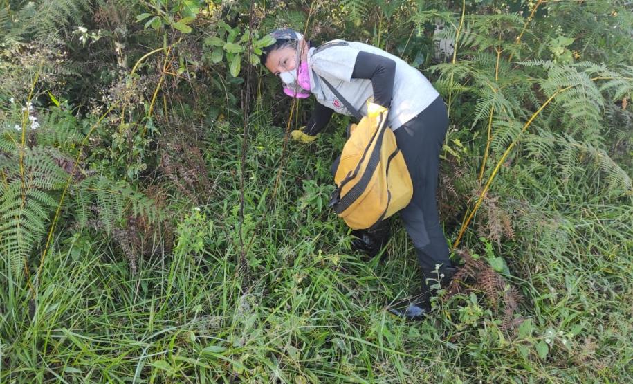 Sesa realiza ação de prevenção e controle da hantavirose em Guarapuava