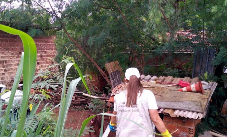 Estado estabelece frente de combate à dengue com ações efetivas em todo o Paraná