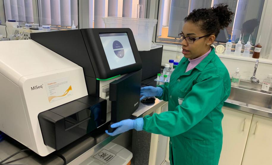 Paraná recebe treinamento para sequenciamento de genoma de chikungunya