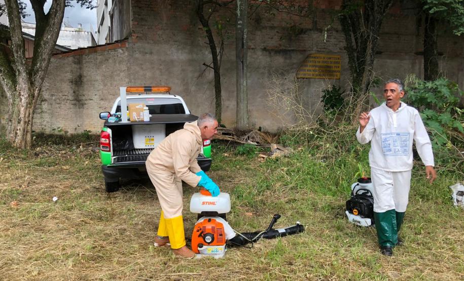 Ministério da Saúde vai difundir vídeos do Paraná sobre vigilância ambiental contra a dengue