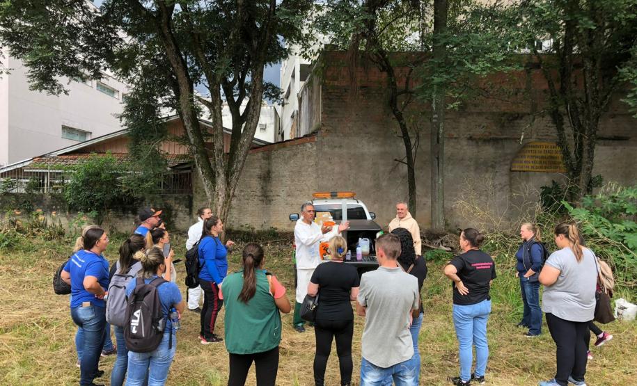 Ministério da Saúde vai difundir vídeos do Paraná sobre vigilância ambiental contra a dengue