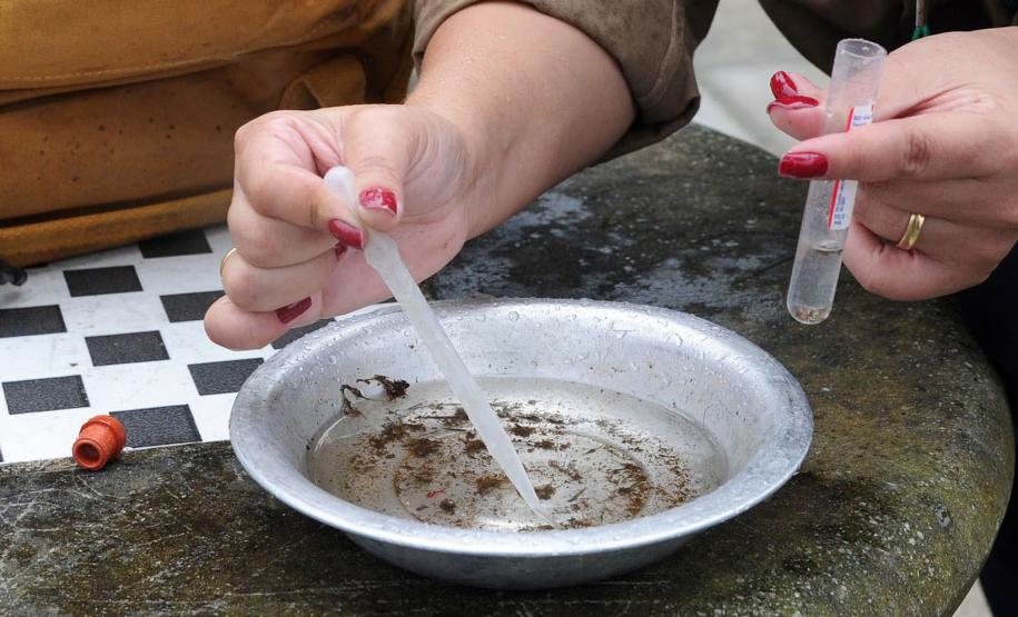 Secretaria da Saúde alerta para sintomas da dengue e importância do tratamento adequado