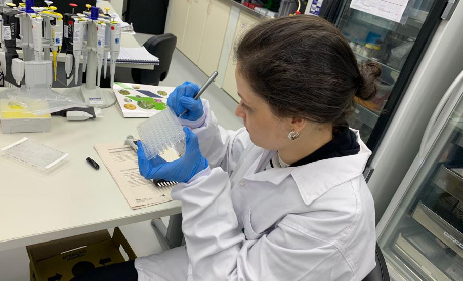 Estudo aponta que chikungunya em circulação no Paraná tem origem outras regiões do Brasil