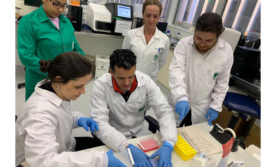 Estudo aponta que chikungunya em circulação no Paraná tem origem outras regiões do Brasil