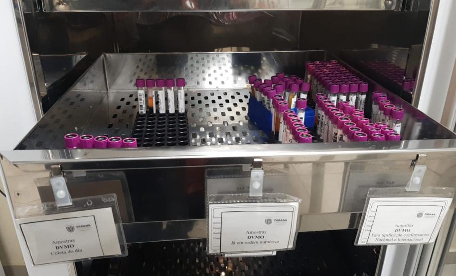 De julho a dezembro, cadastro de medula óssea no Paraná originou seis transplantes bem-sucedidos