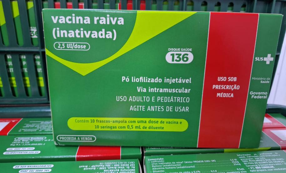 Paraná recebe novas doses da vacina antirrábica humana e alerta para cuidados com a doença