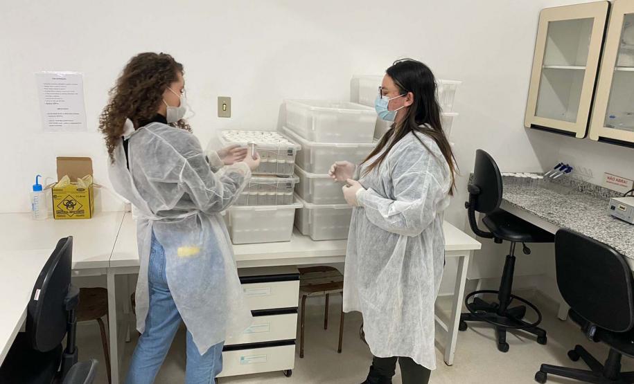 Captura anual de 45 mil aranhas-marrons viabiliza 15 mil ampolas de antiveneno no Paraná