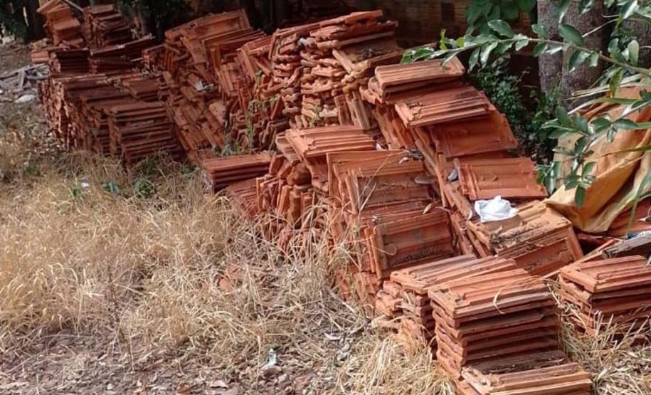 Captura anual de 45 mil aranhas-marrons viabiliza 15 mil ampolas de antiveneno no Paraná