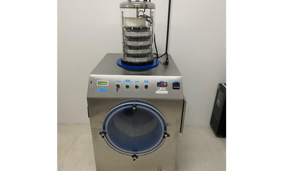 Captura anual de 45 mil aranhas-marrons viabiliza 15 mil ampolas de antiveneno no Paraná