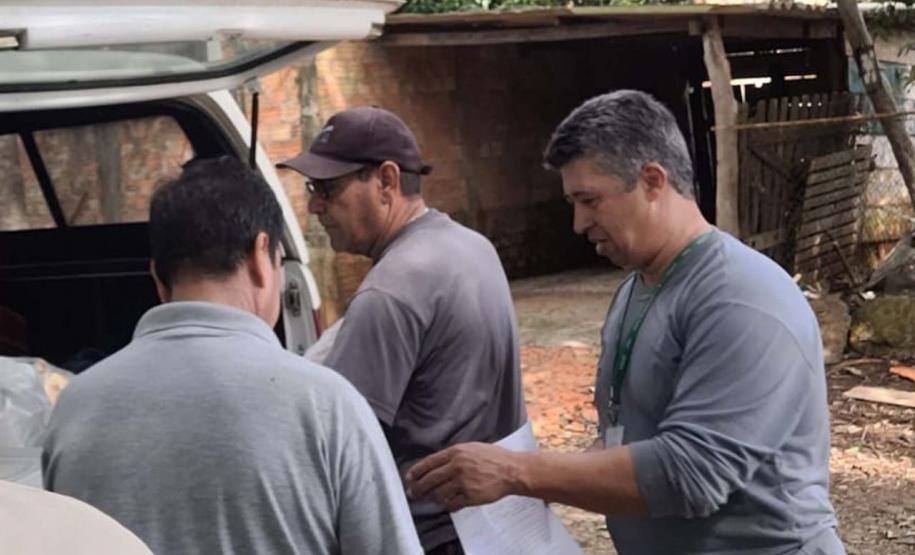 Captura anual de 45 mil aranhas-marrons viabiliza 15 mil ampolas de antiveneno no Paraná