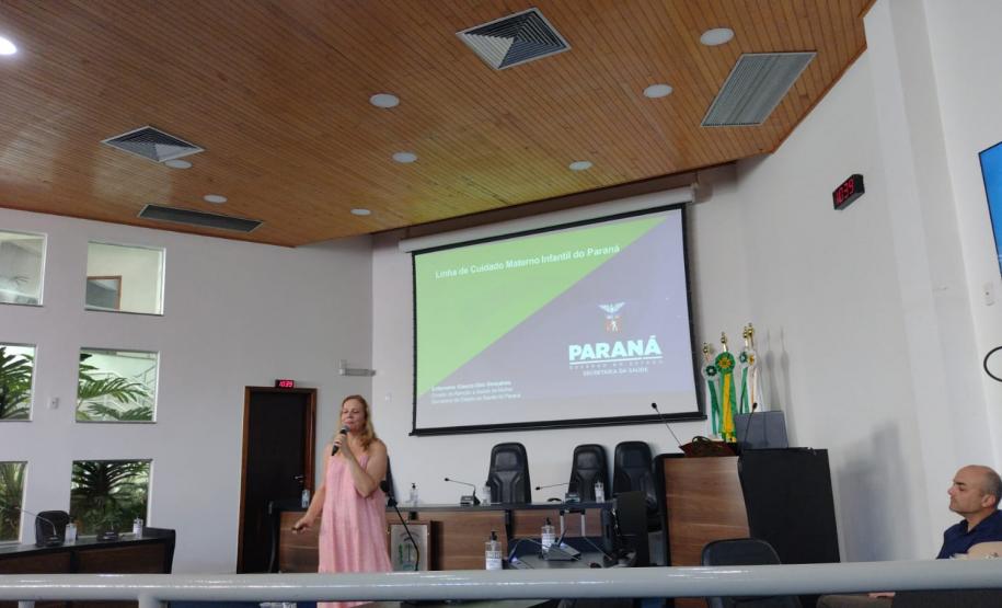 Estado capacita equipes multiprofissionais para assistência no pré-natal