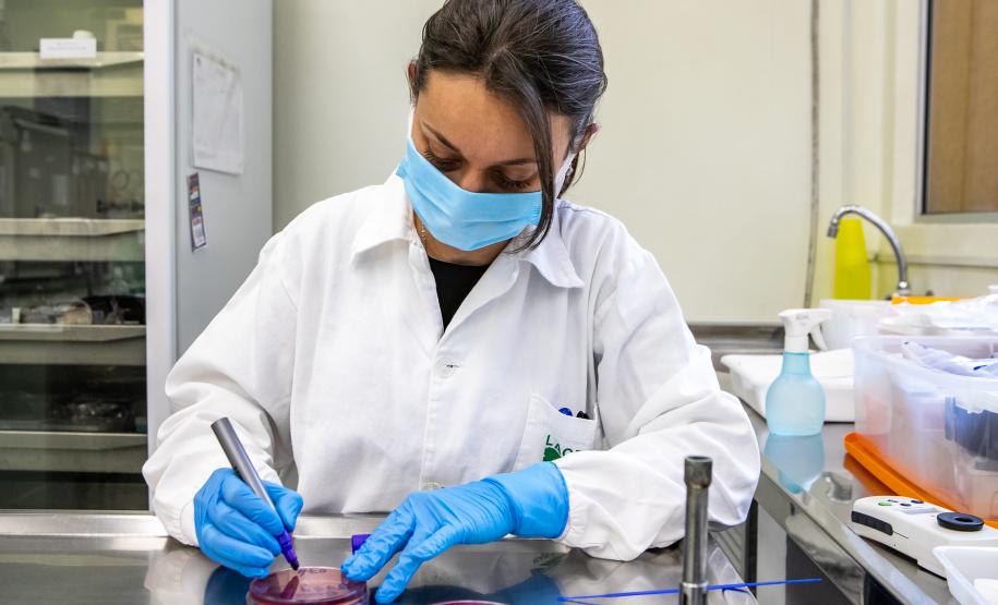 Estado investe R$ 100 milhões em equipamentos e moderniza atendimento da saúde pública