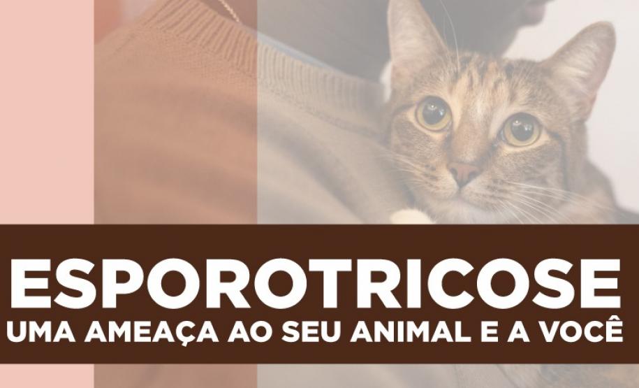Paraná é o primeiro Estado a oferecer medicamento para tratar animais com esporotricose
