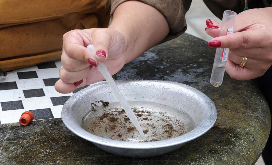 Período epidemiológico 2022/2023 da dengue termina com 135 mil casos e 108 mortes