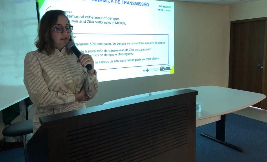 Estado e União estudam novas estratégias para combater dengue e demais arboviroses