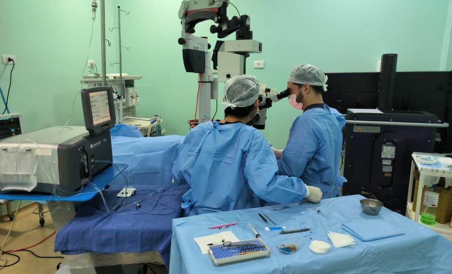 Opera Paraná promove cirurgias em Londrina e triagens em Campo Mourão