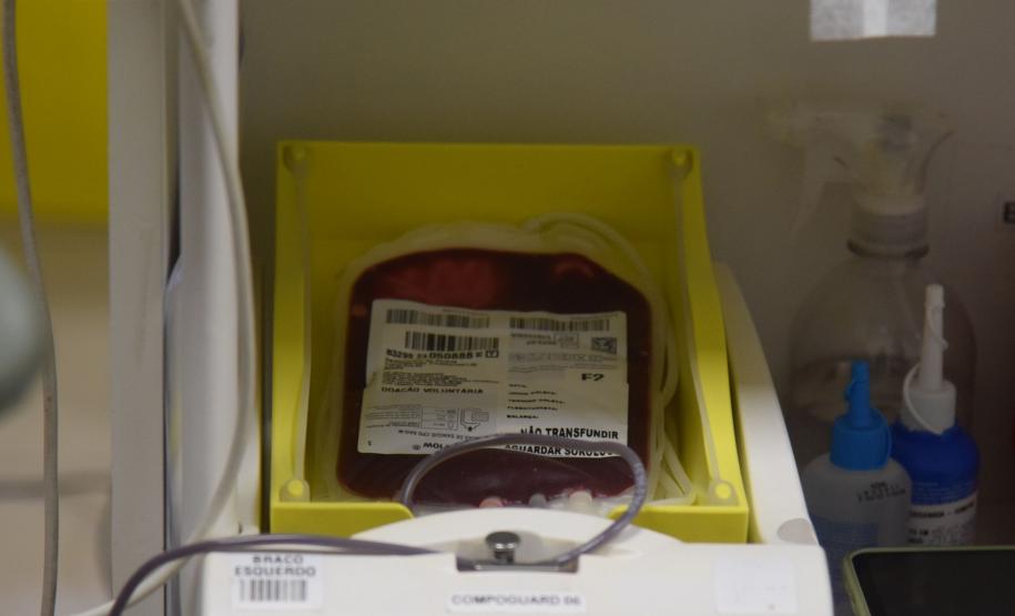 Dia Nacional do Doador de Sangue neste sábado reforça importância da solidariedade