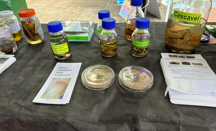 Sesa realiza ações em alusão ao Novembro Azul no calçadão de Londrina