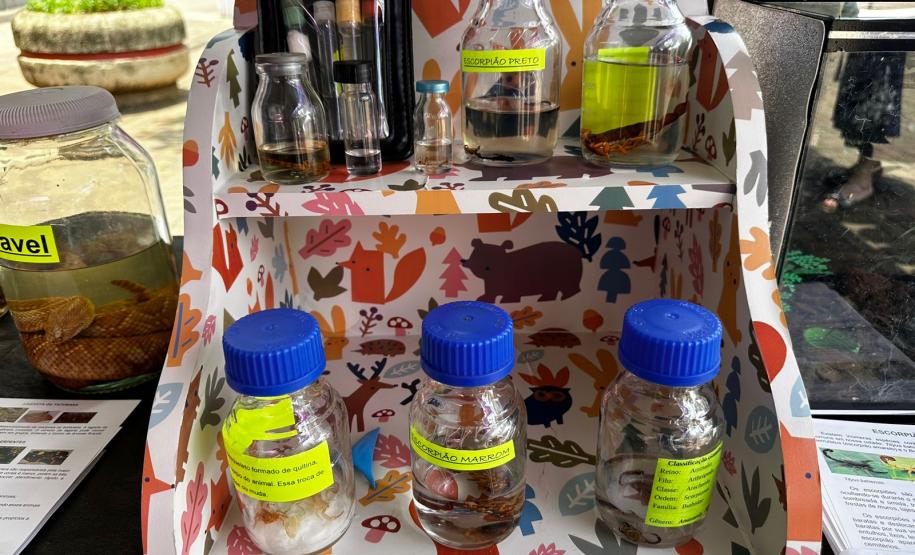 Sesa realiza ações em alusão ao Novembro Azul no calçadão de Londrina