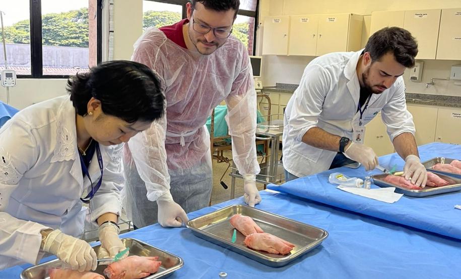 Saúde promove capacitação sobre o cuidado e prevenção à raiva humana