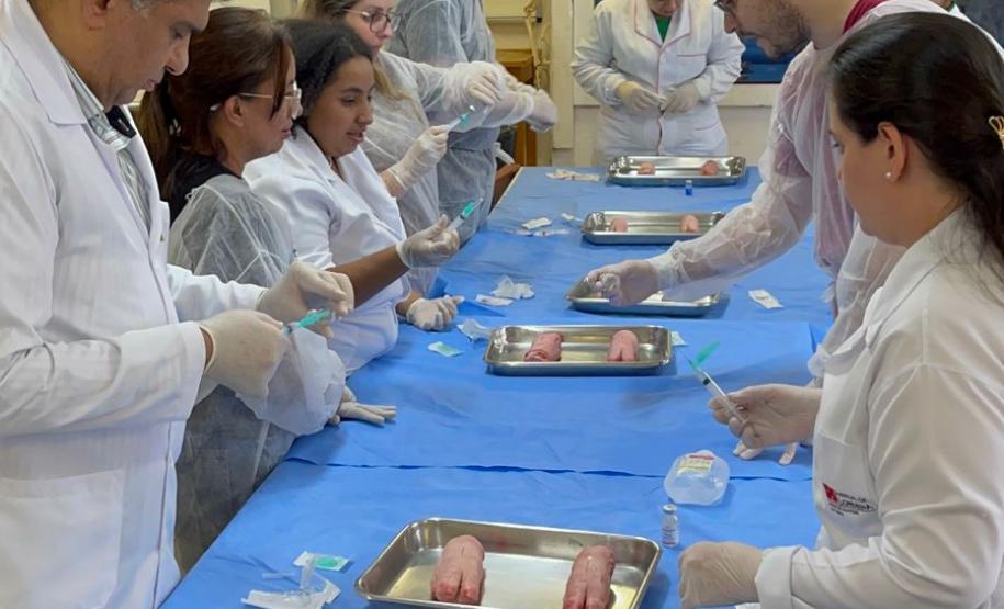 Saúde promove capacitação sobre o cuidado e prevenção à raiva humana