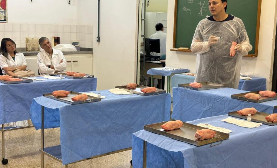 Saúde promove capacitação sobre o cuidado e prevenção à raiva humana