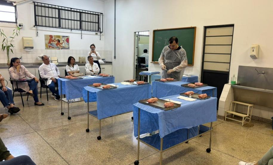 Saúde promove capacitação sobre o cuidado e prevenção à raiva humana