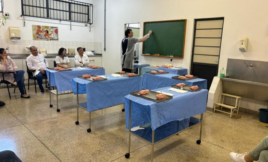 Saúde promove capacitação sobre o cuidado e prevenção à raiva humana