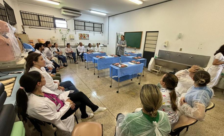 Saúde promove capacitação sobre o cuidado e prevenção à raiva humana