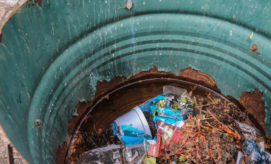 Dia D: Estado vai apoiar municípios na mobilização contra a dengue neste sábado