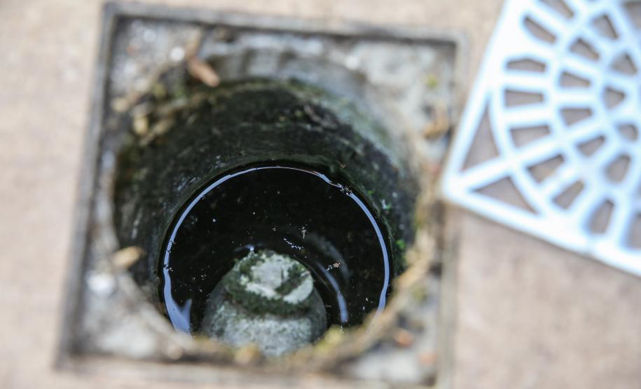 Dia D: Estado vai apoiar municípios na mobilização contra a dengue neste sábado