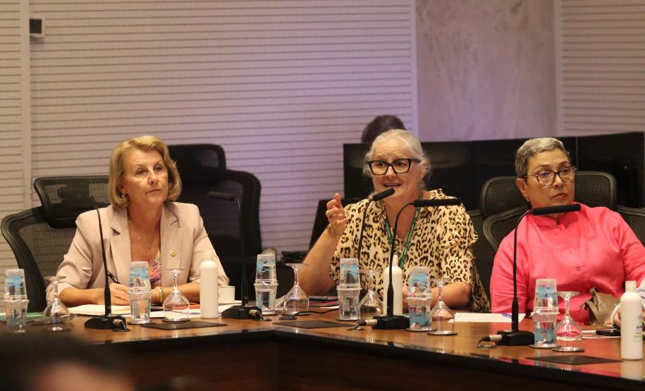 Comitê da dengue convoca população para participar do Dia D neste sábado