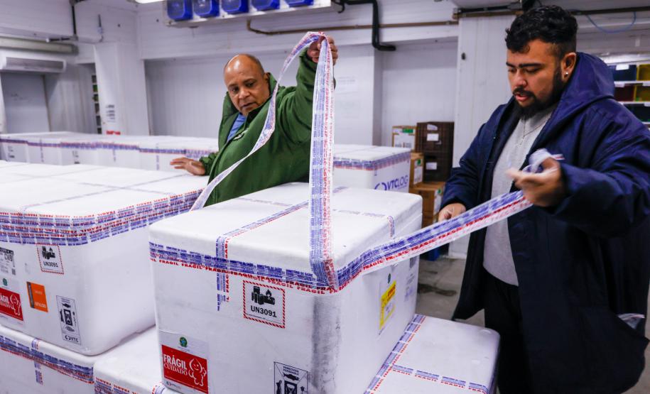 Paraná recebe primeiro lote de vacinas contra a dengue