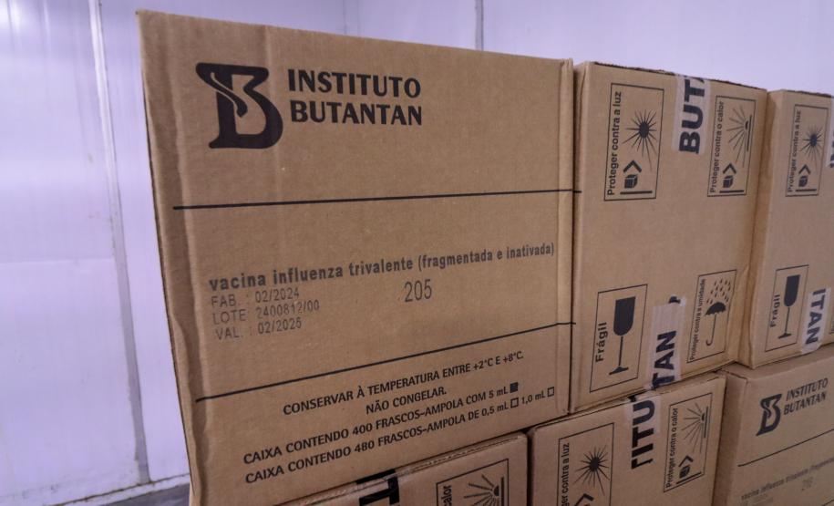 Paraná recebe mais 512 mil imunizantes contra Influenza; vacina já está disponível