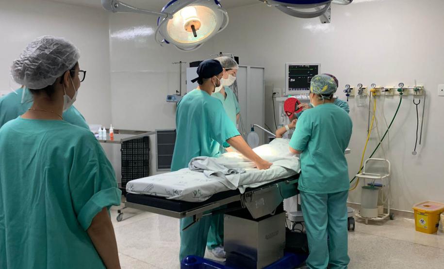 Com 588 mil de procedimentos, Paraná bateu recorde de cirurgias eletivas em 2023