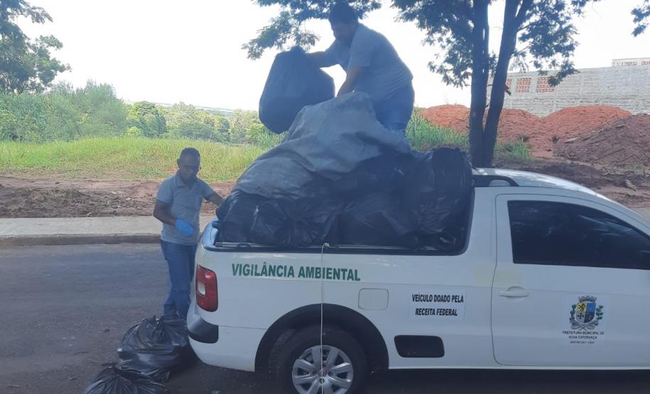Ações do Dia D da dengue acontecem em todo o Paraná neste sábado