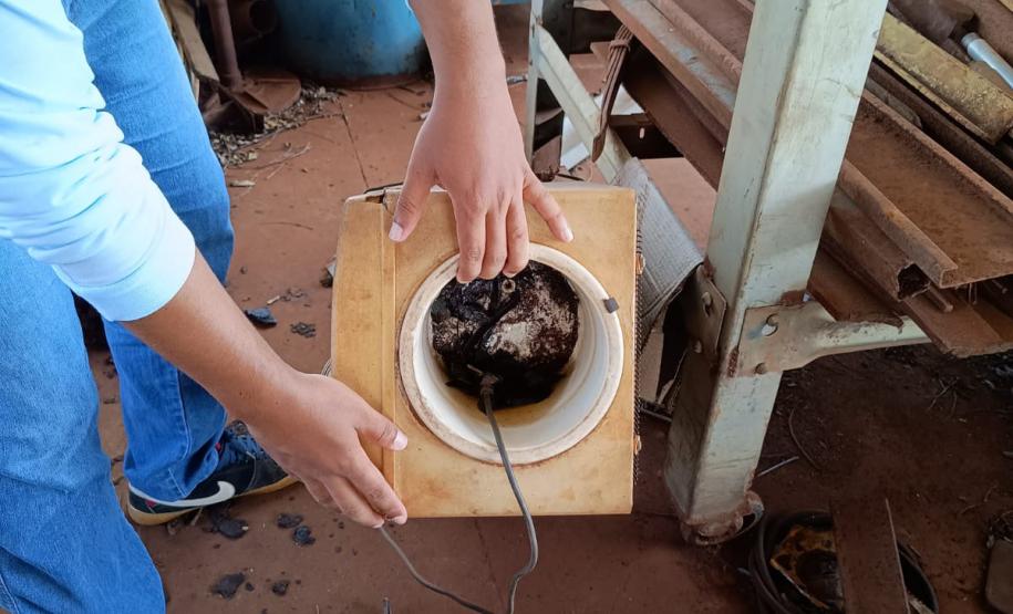 Ações do Dia D da dengue acontecem em todo o Paraná neste sábado